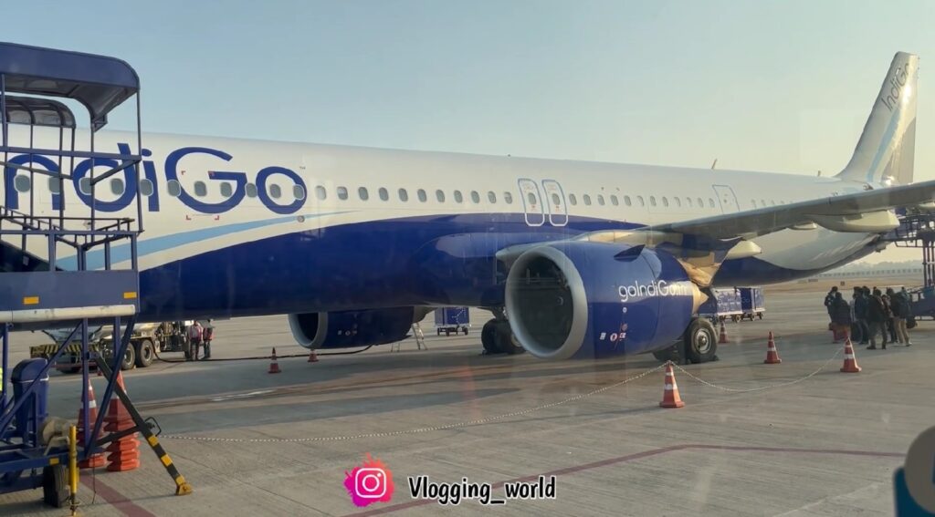 Indigo Flight News